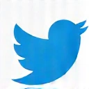 Twitter icon